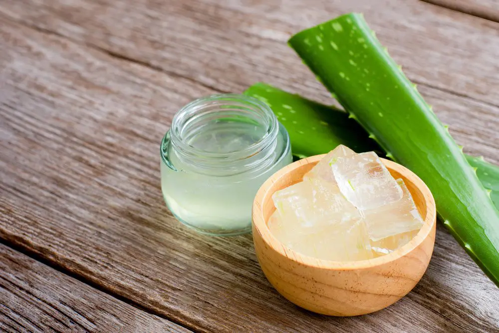 The Power of Aloe Vera in Skincare: The Multi-Purpose Ingredient Transforming Skincare Products Natural Skincare Ingredients