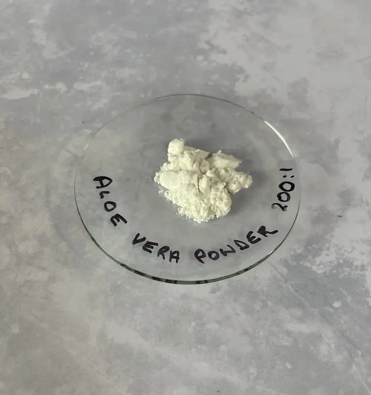 The Power of Aloe Vera in Skincare: The Multi-Purpose Ingredient Transforming Skincare Products Natural Skincare Ingredients