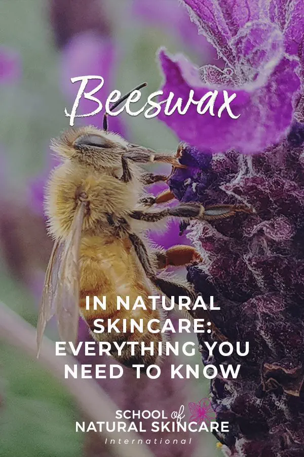 Beeswax in Natural Skincare: Everything You Need to Know Natural Skincare Ingredients