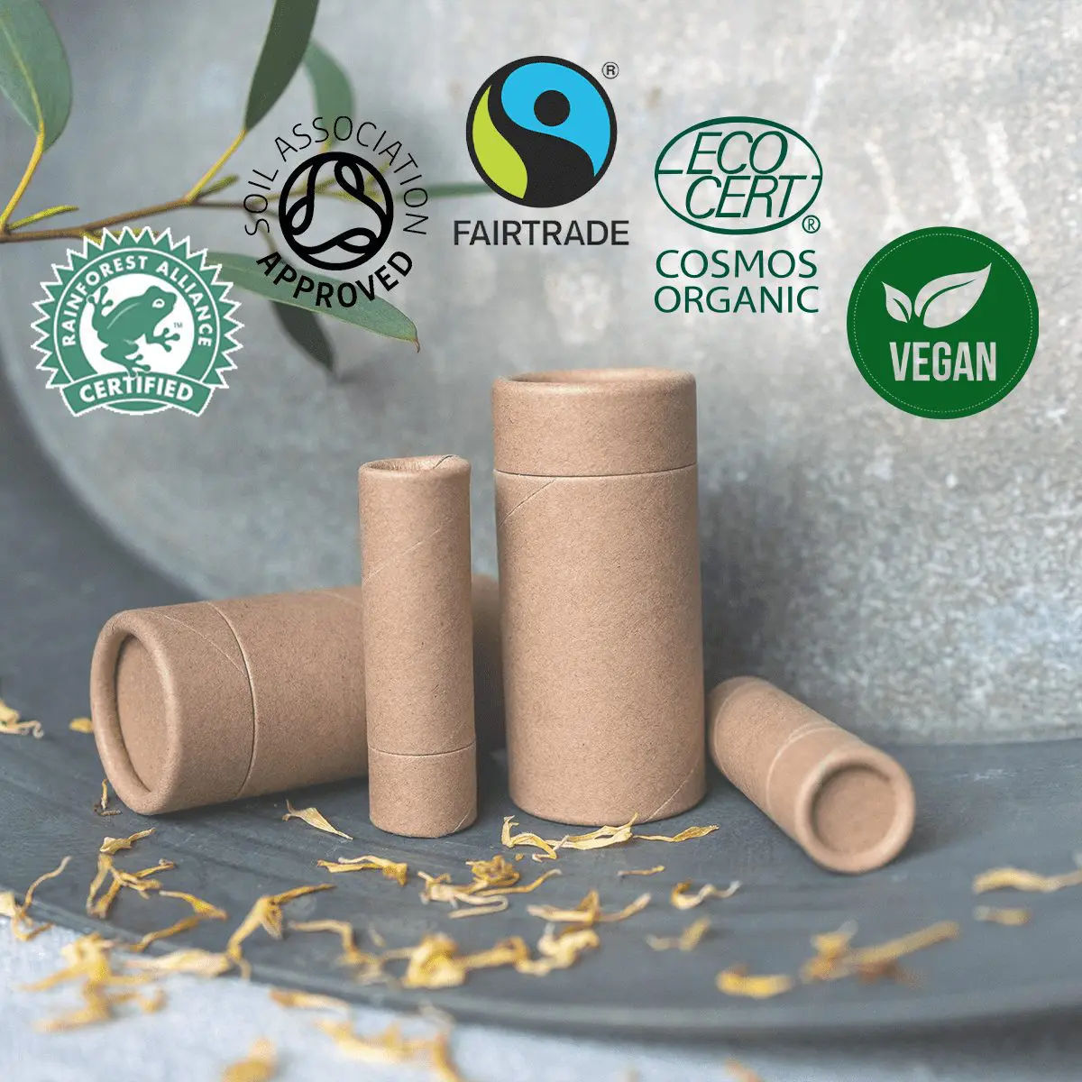 How we achieved our Ethical Accreditation Behind the scenes