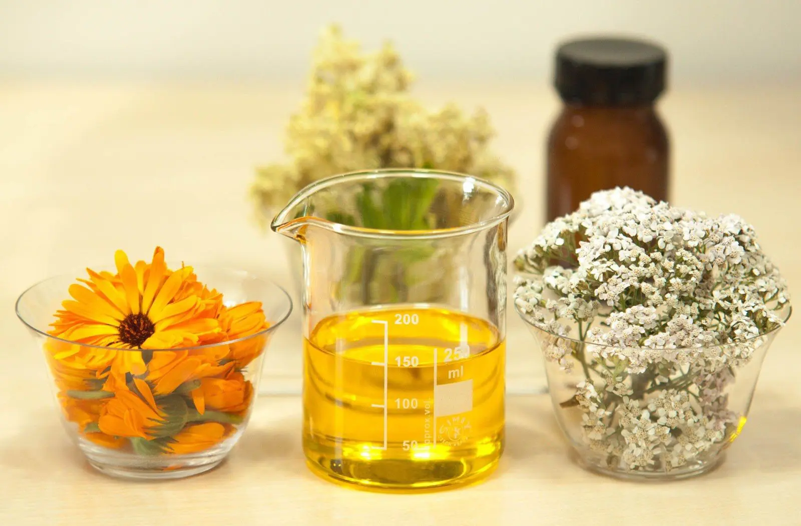 Carrier Oils: Finding the right carrier oil for your skin Natural Skincare Ingredients