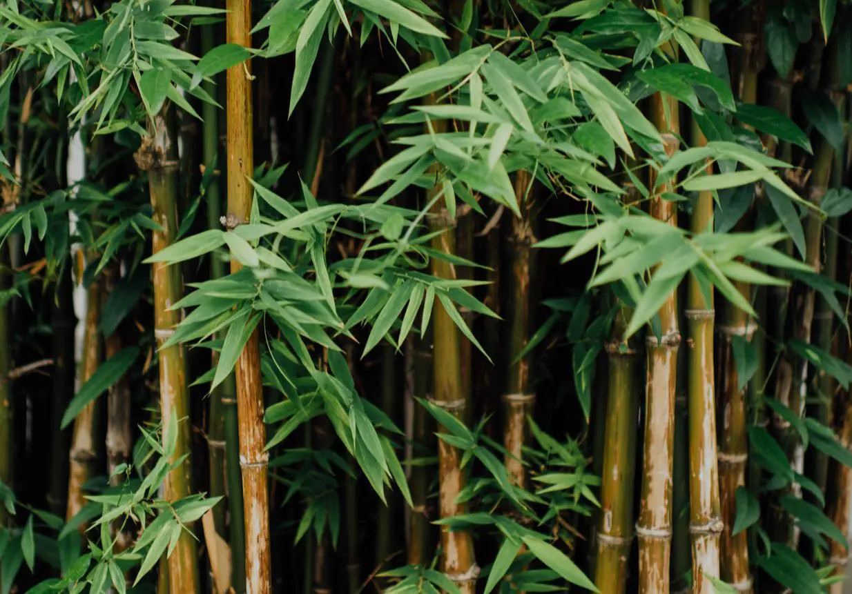 Finding plastic-free solutions for our new office Behind the scenes