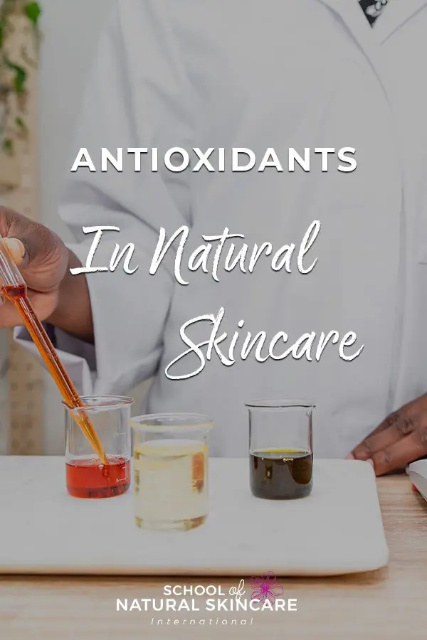 Antioxidants in Natural Skincare Natural Skincare Ingredients