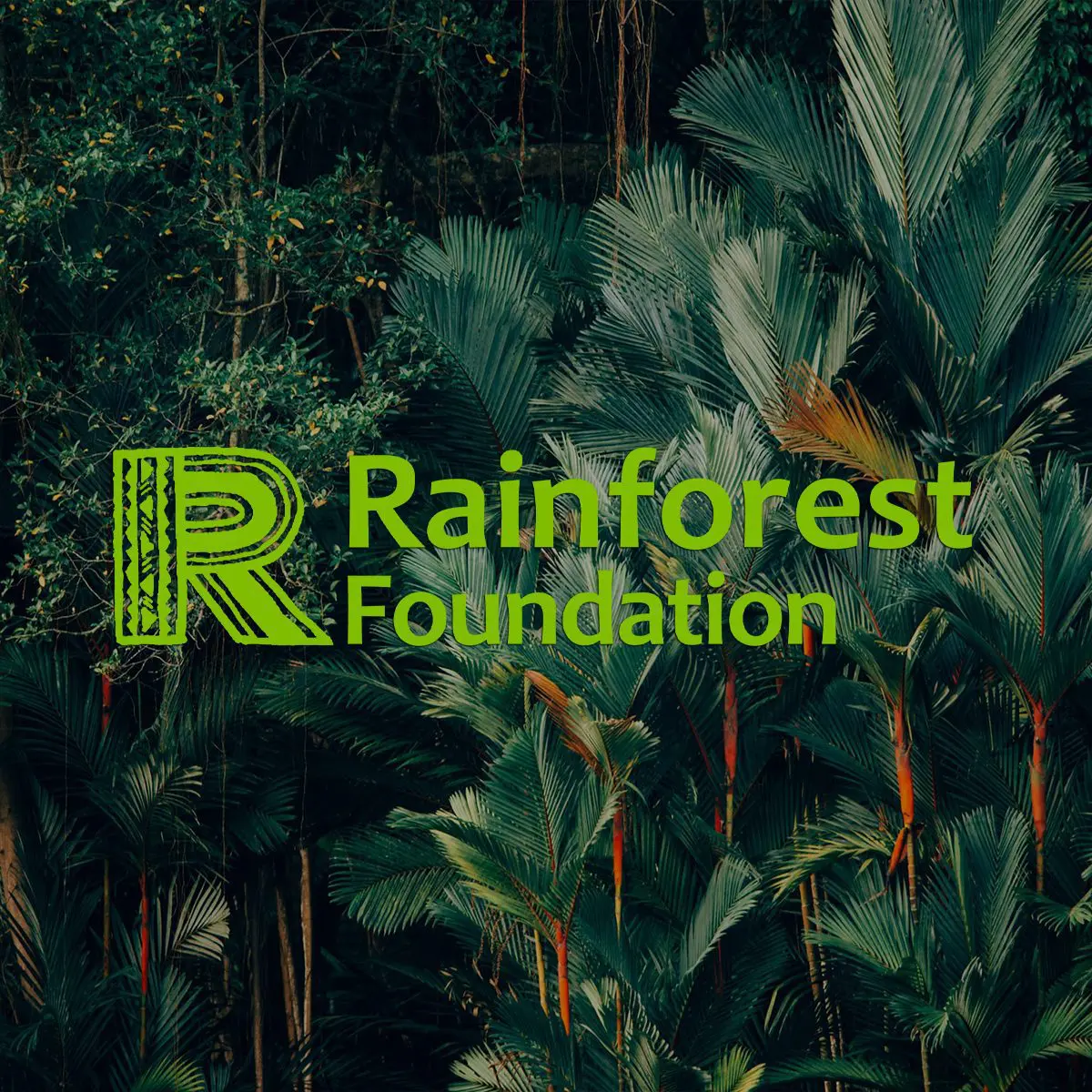 How we achieved our Ethical Accreditation Behind the scenes