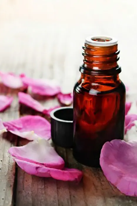 Choosing the Right Carrier Oils for your Product Natural Skincare Ingredients Skincare Formulation