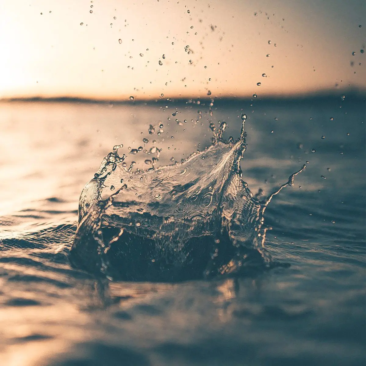 Making natural skincare products free from chemicals Getting started