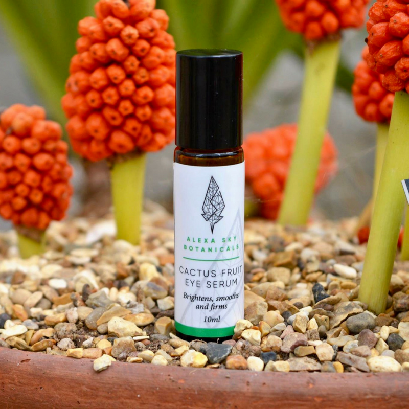 Stories of transformation all around the world Student success stories