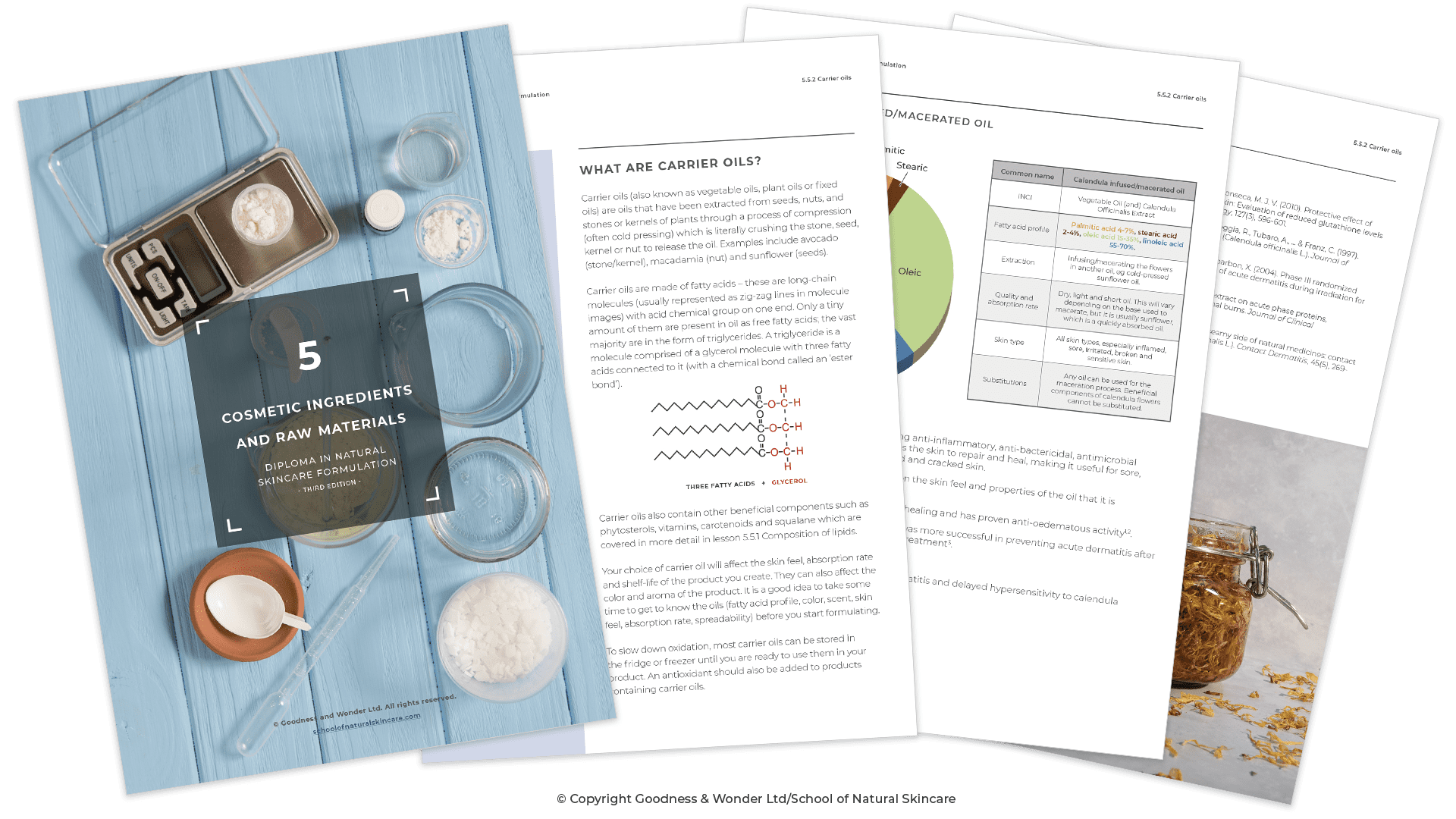 The Diploma in Natural Skincare Formulation: A Complete and Comprehensive Curriculum Beauty Business Advice Skincare Formulation Studying